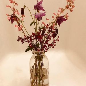 Meet your Posher, Deborah